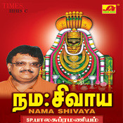 Sbp Tamil Namasivaya Mp3 Song Free Downlod